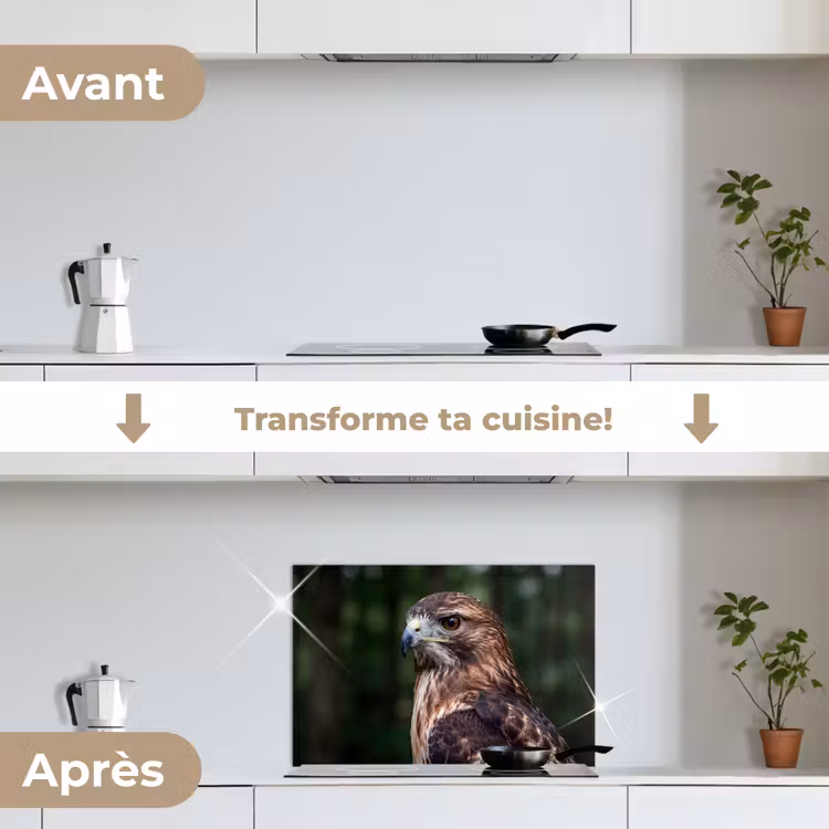 Fond de hotte - Buse - Rapace - Nature - Marron — 7