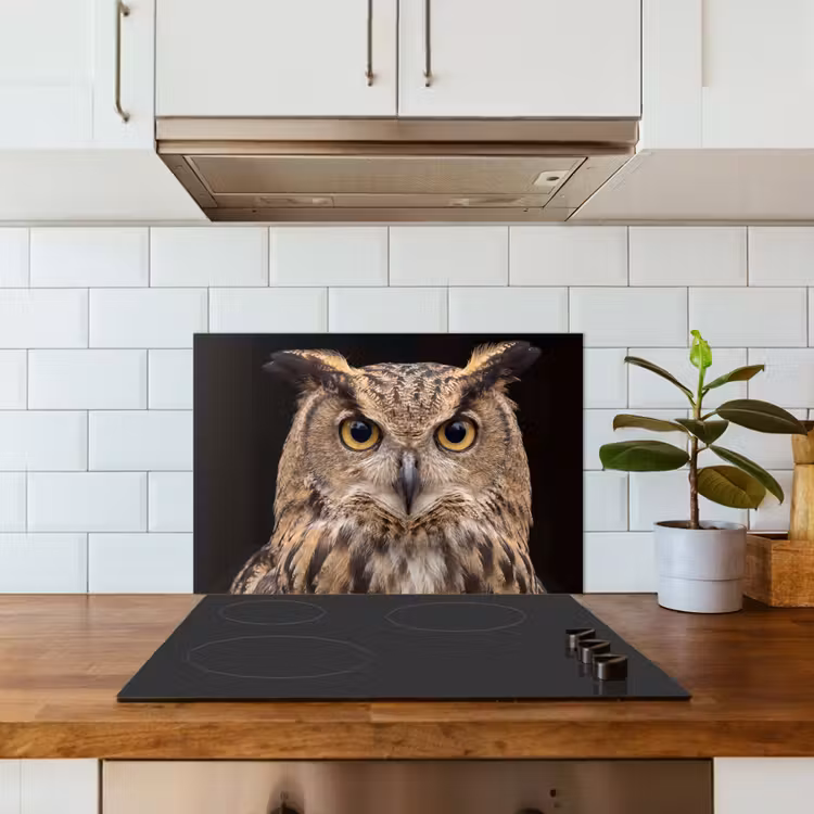 Fond de hotte - Hibou grand-duc - Portrait - Marron — 3