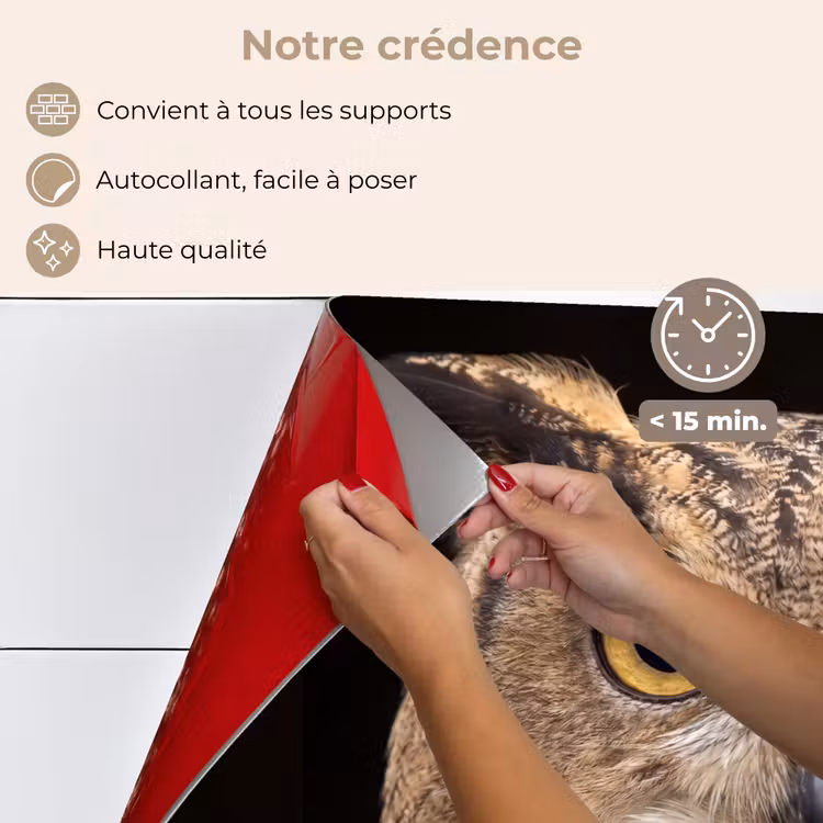 Fond de hotte - Hibou grand-duc - Portrait - Marron — 4