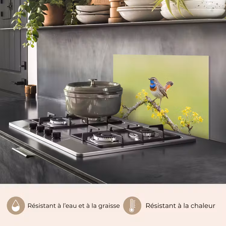 Fond de hotte - Oiseau - Branche - Nature - Coloré — 2