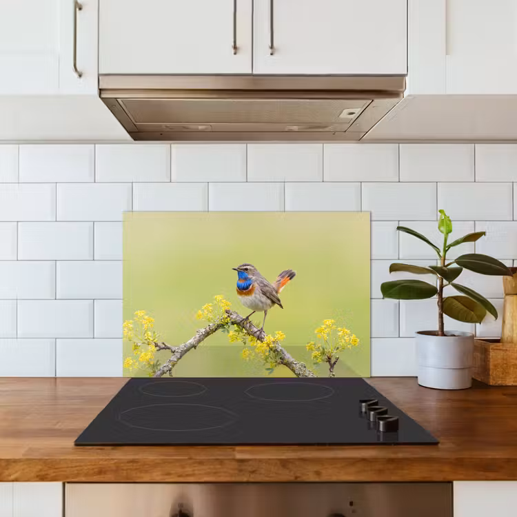 Fond de hotte - Oiseau - Branche - Nature - Coloré — 3