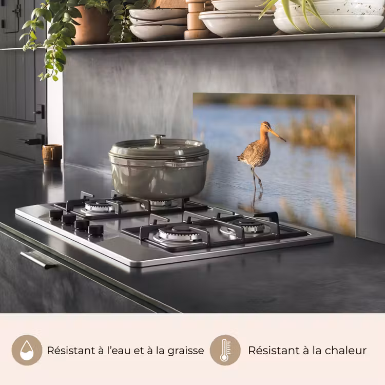 Fond de hotte - Oiseau - Échasse - Eau - Nature — 2