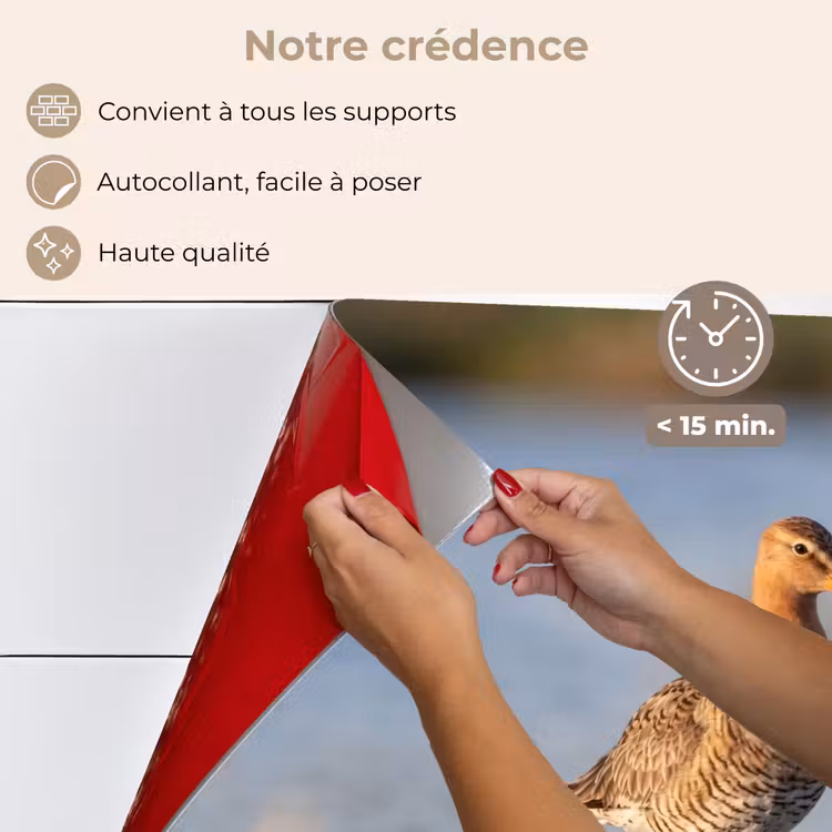 Fond de hotte - Oiseau - Échasse - Eau - Nature — 4