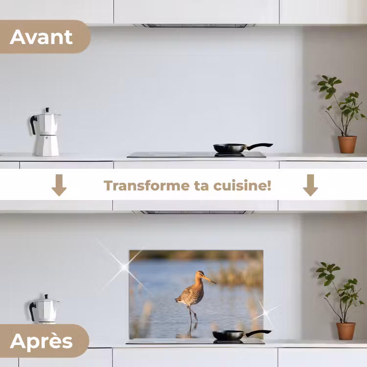 Fond de hotte - Oiseau - Échasse - Eau - Nature — 7
