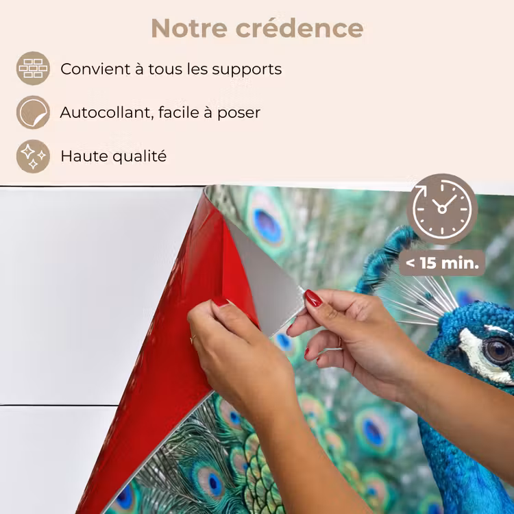 Fond de hotte - Paon - Plumes - Bleu — 4