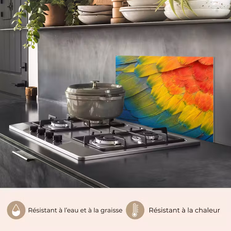 Fond de hotte - Plumes - ara - colorées — 2