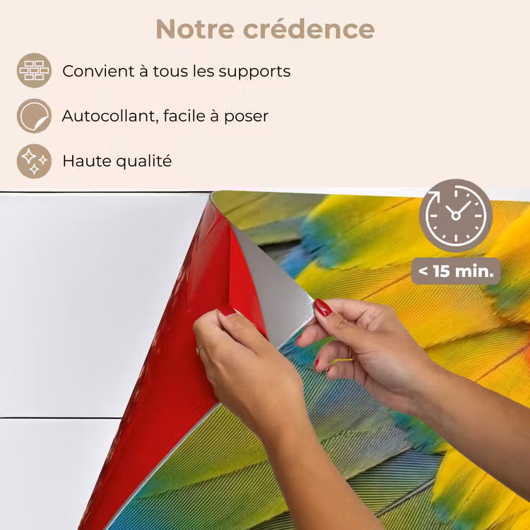 Fond de hotte - Plumes - ara - colorées — 4