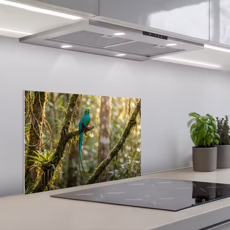 Fond de hotte - Quetzal - Jungle - Nature - Vert — 1