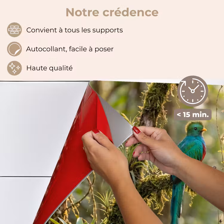 Fond de hotte - Quetzal - Jungle - Nature - Vert — 4