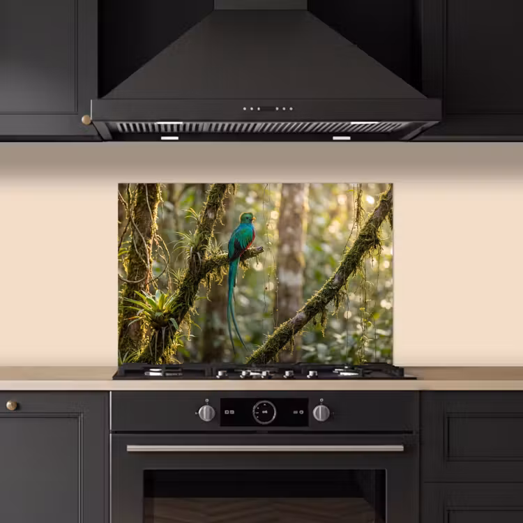 Fond de hotte - Quetzal - Jungle - Nature - Vert — 5