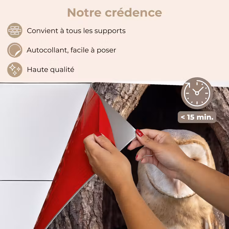 Fond de hotte - Chouette effraie - Arbre - Nature - Marron — 4