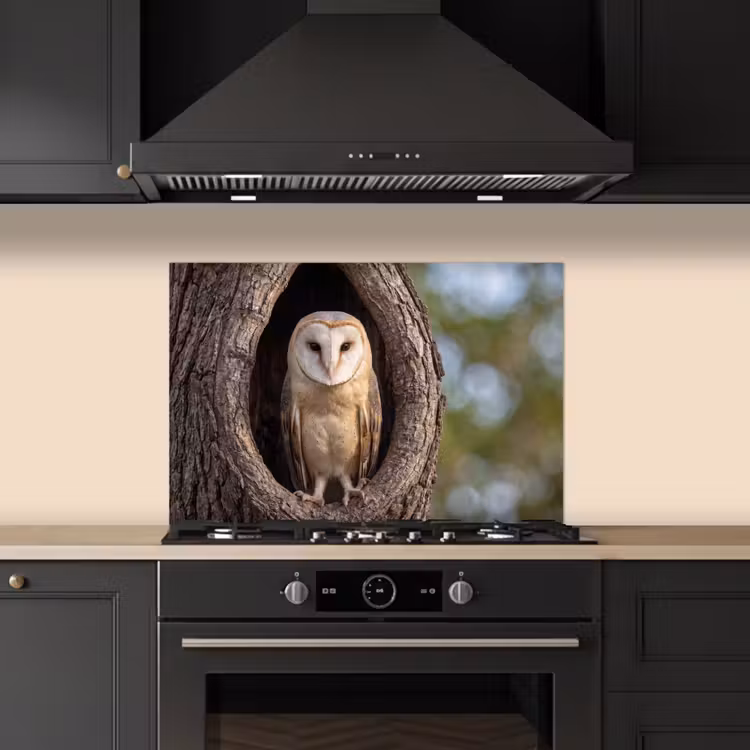 Fond de hotte - Chouette effraie - Arbre - Nature - Marron — 5