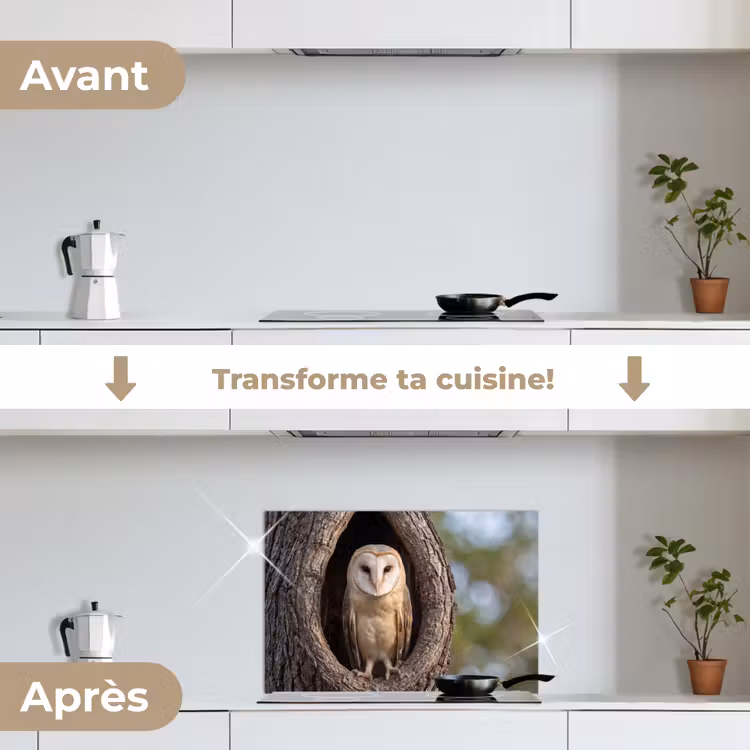 Fond de hotte - Chouette effraie - Arbre - Nature - Marron — 7