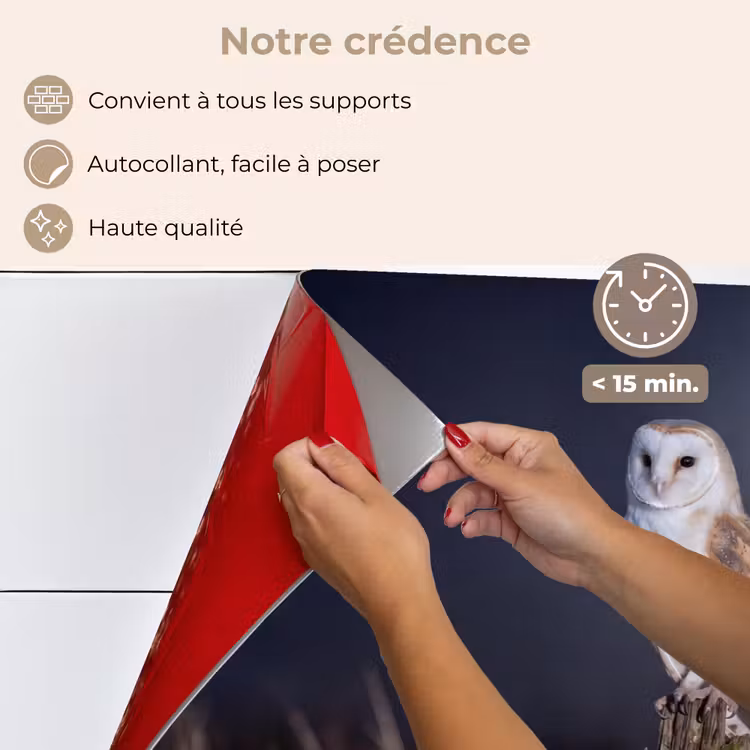 Fond de hotte - Chouette effraie - Lune - Nuit — 4