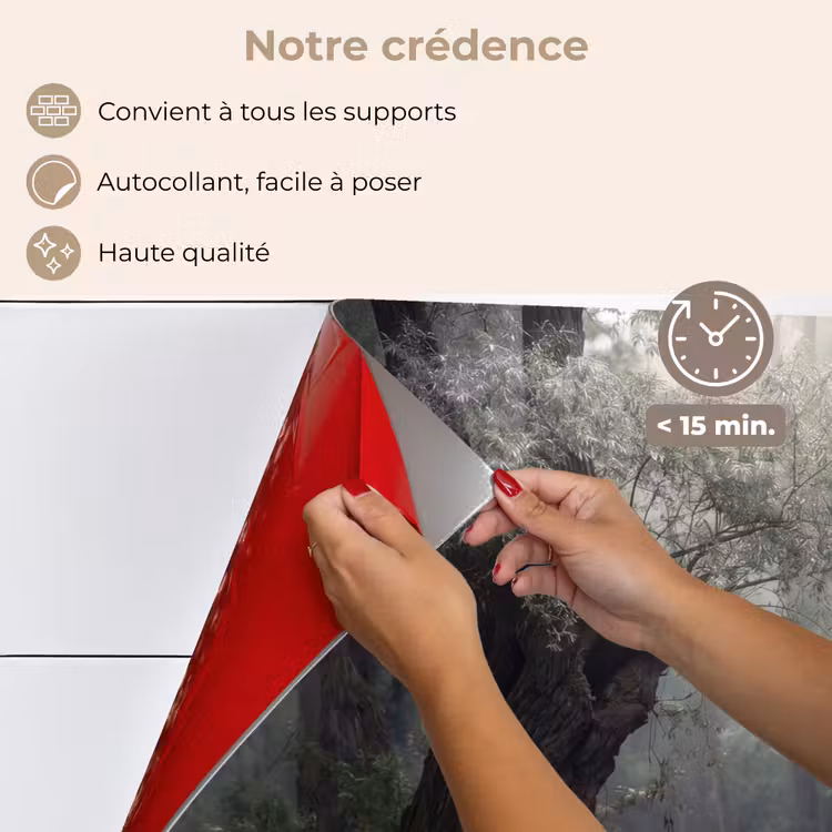 Fond de hotte - Cygnes - Rivière - Forêt — 4