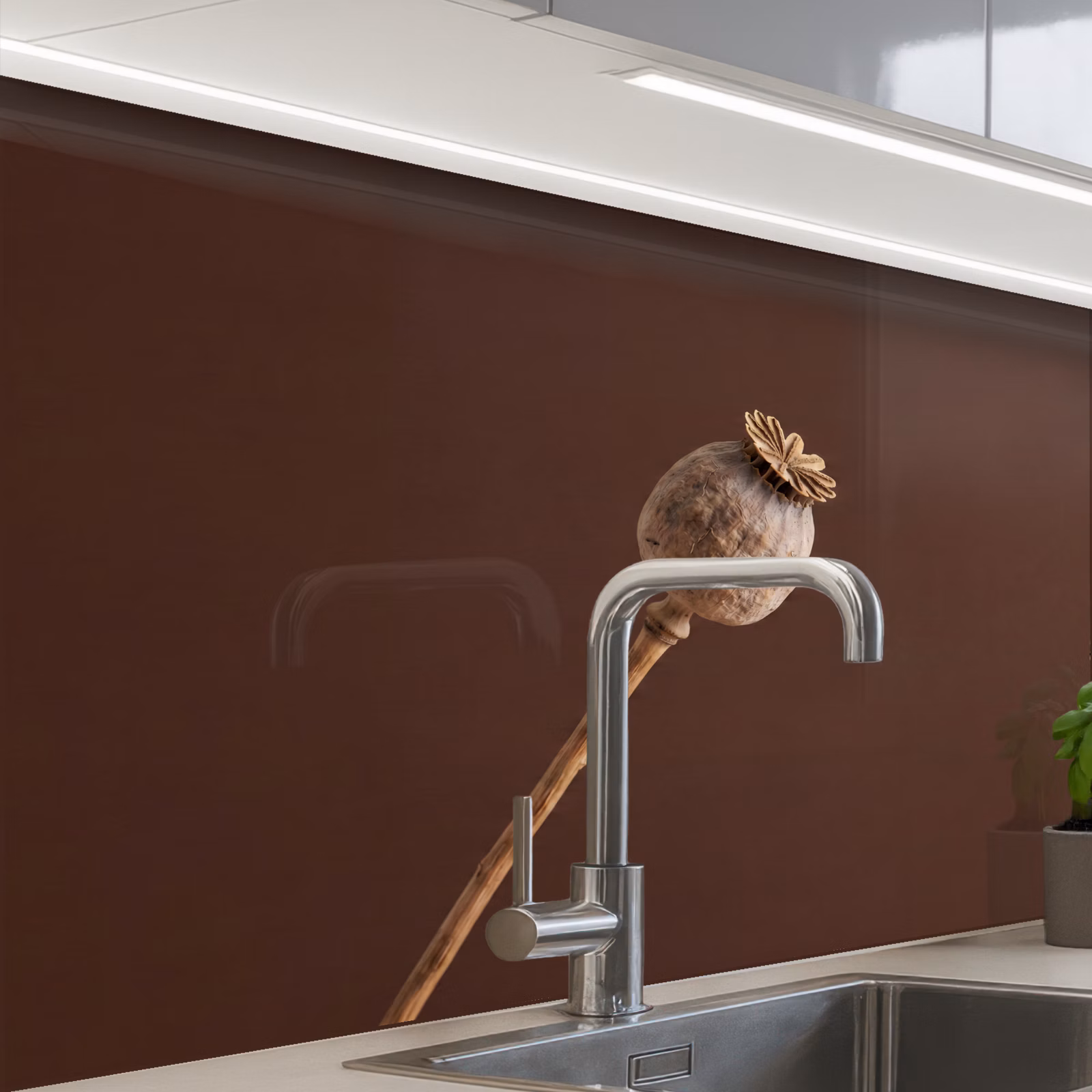Crédence cuisine - Bulbe de pavot - Fleur sèche - Marron - Minimaliste — 1
