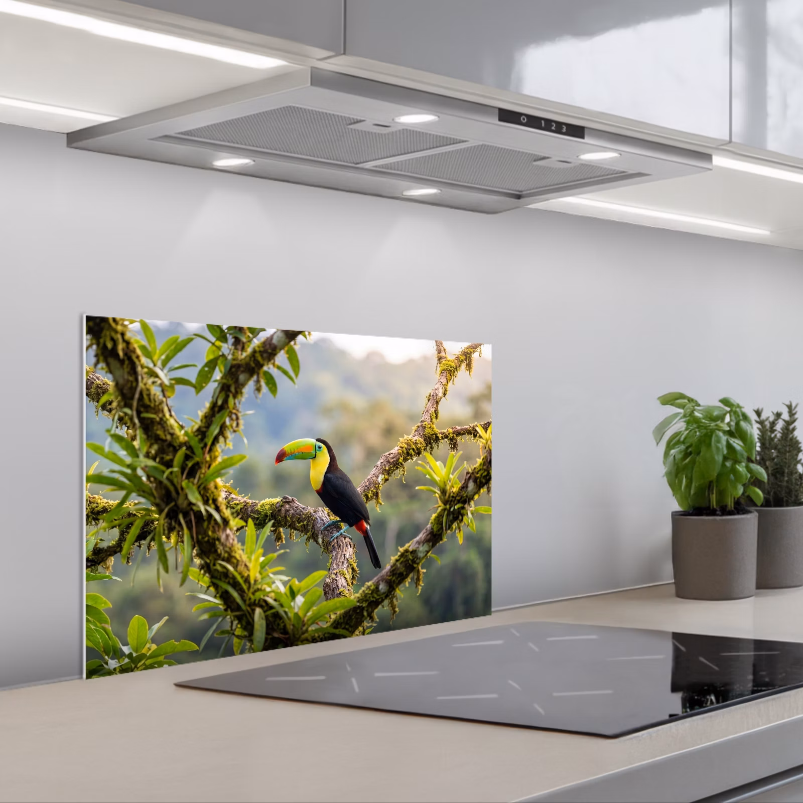 Fond de hotte - Toucan - Jungle - Nature - Coloré — 1