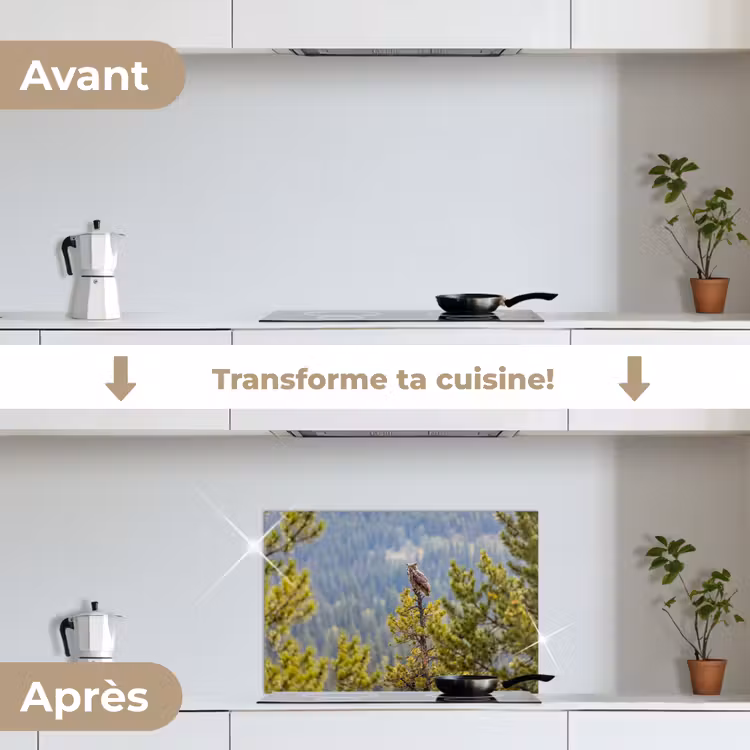 Fond de hotte - Chouette - Hibou grand-duc - Arbres - Nature — 7