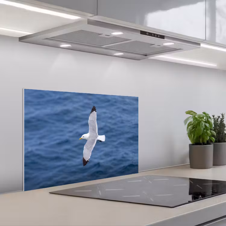 Fond de hotte - Mouette - Océan - Bleu — 1