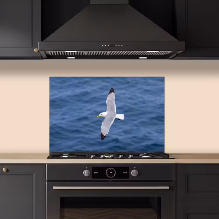Fond de hotte - Mouette - Océan - Bleu — 5