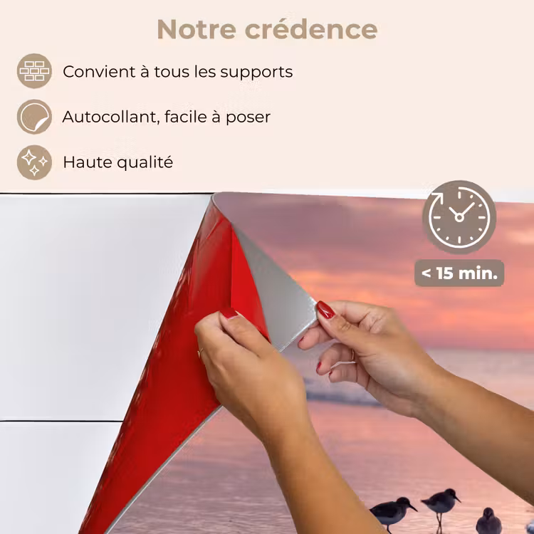 Fond de hotte - Mouettes - Plage - Mer - Rose — 4