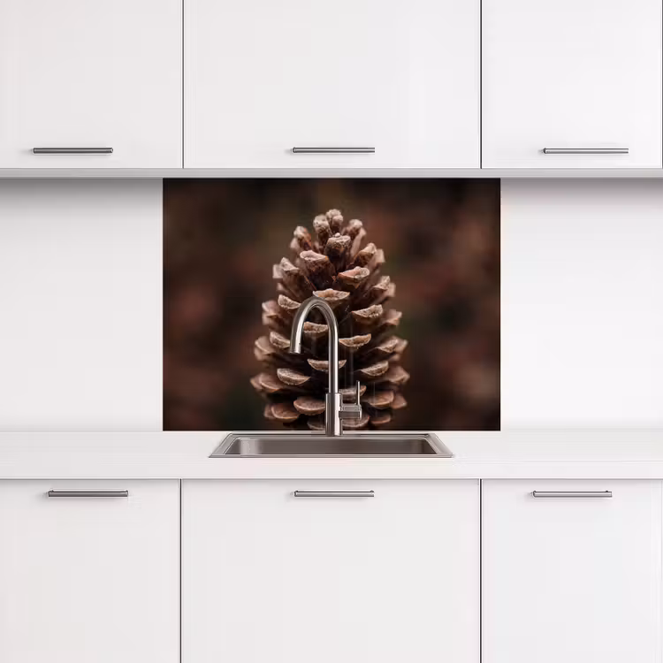 Crédence cuisine - Pomme de pin - Forêt - Automne - Marron - Atmosphérique — 3