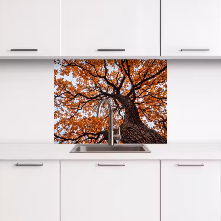Crédence cuisine - Arbre - Canopée - Automne - Orange - Atmosphérique — 3
