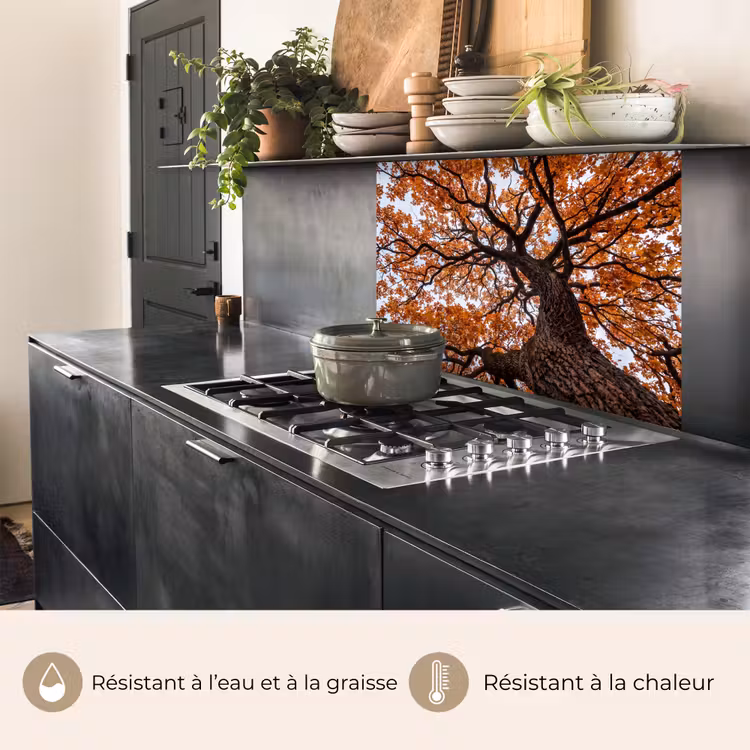 Crédence cuisine - Arbre - Canopée - Automne - Orange - Atmosphérique — 4