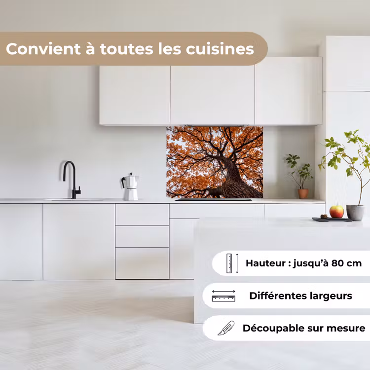 Crédence cuisine - Arbre - Canopée - Automne - Orange - Atmosphérique — 6