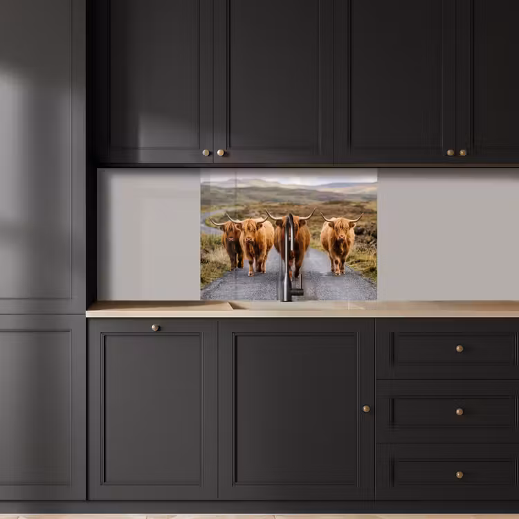 Crédence cuisine - Scottish Highlanders - Route - Paysage - Troupeau — 5