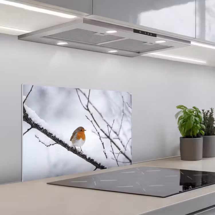 Fond de hotte - Merle - Branche - Neige - Hiver - Vif — 1