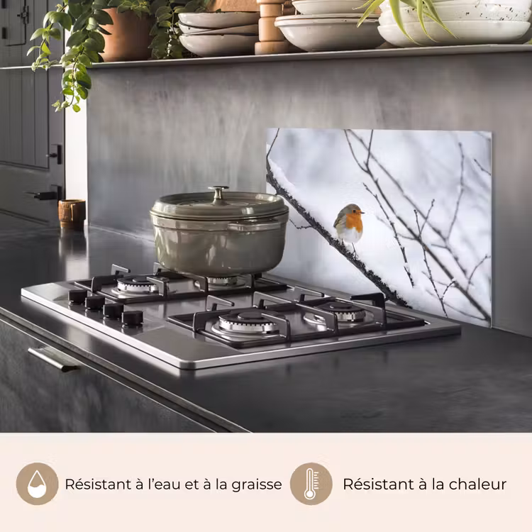 Fond de hotte - Merle - Branche - Neige - Hiver - Vif — 2