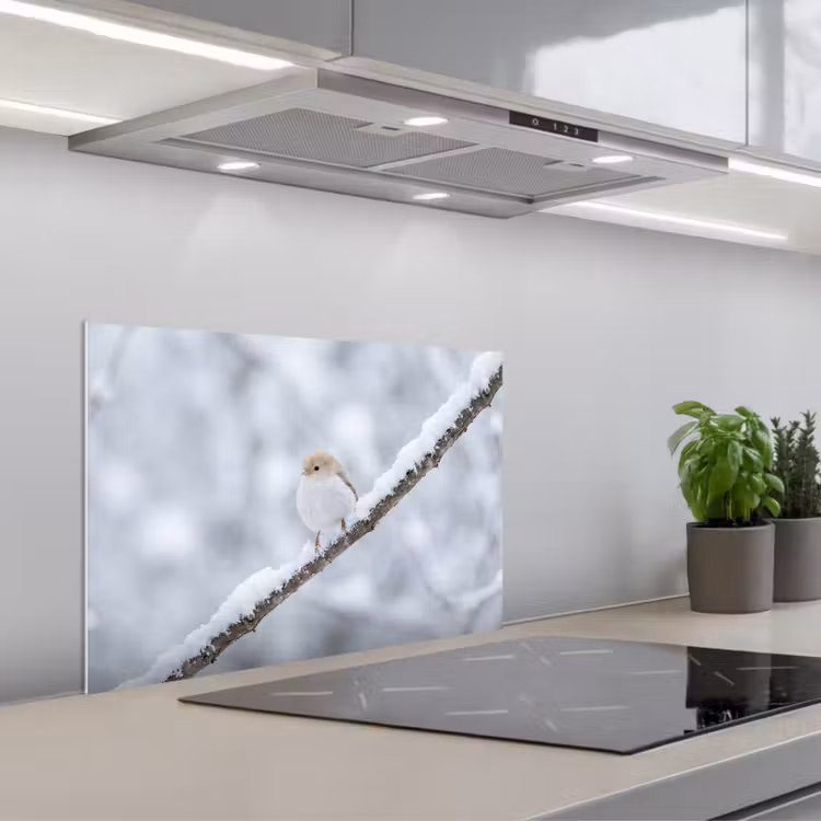 Fond de hotte - Oiseau - Neige - Branche - Hiver - Douceur — 1