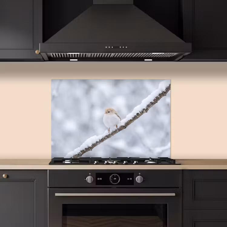 Fond de hotte - Oiseau - Neige - Branche - Hiver - Douceur — 5