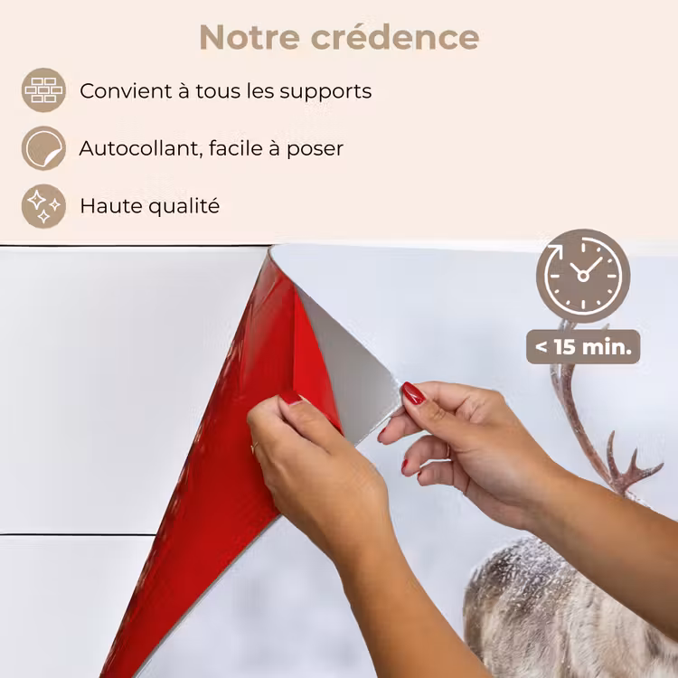 Fond de hotte - Renne - Bois - Toundra - Neige - Sauvage — 4