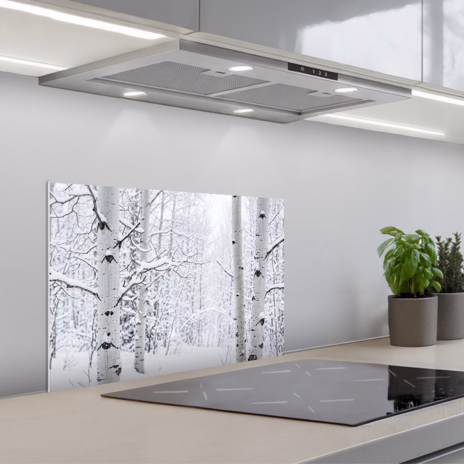 Fond de hotte - Bouleaux - Neige - Hiver - Forêt - Blanc — 1
