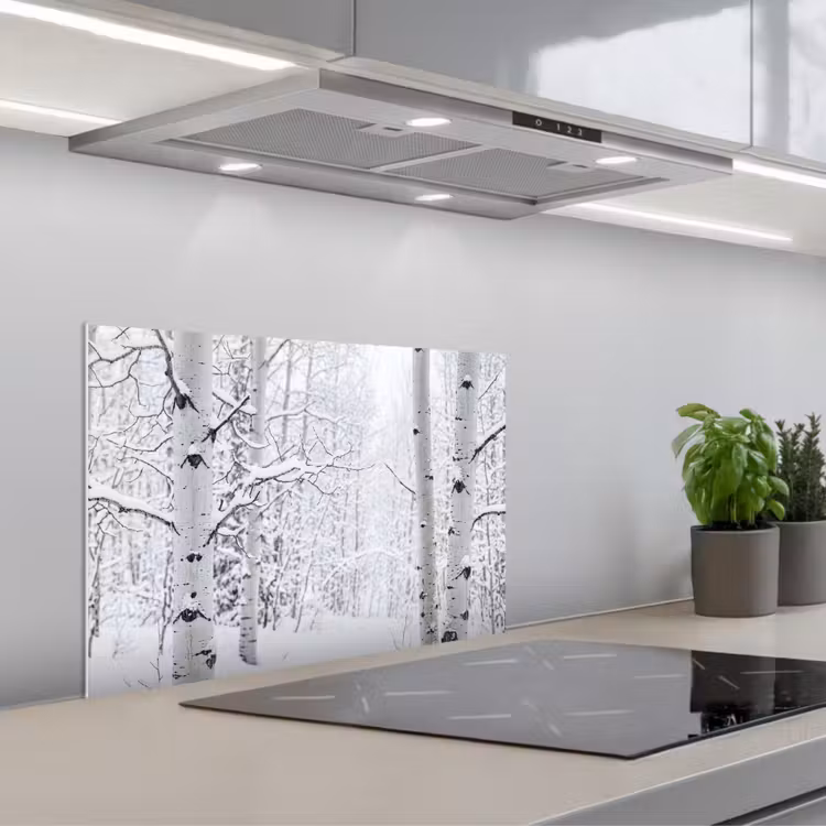 Fond de hotte - Bouleaux - Neige - Hiver - Forêt - Blanc — 1