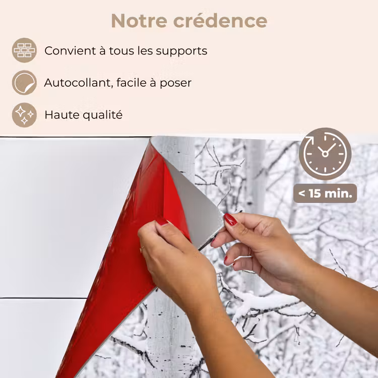 Fond de hotte - Bouleaux - Neige - Hiver - Forêt - Blanc — 4