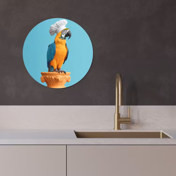 Tableau rond - Perroquet - Chapeau de cuisinier - Drôle - Oiseau — 4