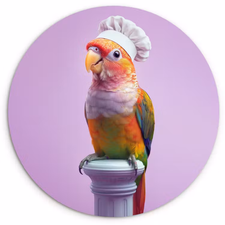 Tableau rond - Perroquet - Chapeau de cuisinier - Pilier - Oiseau — 1
