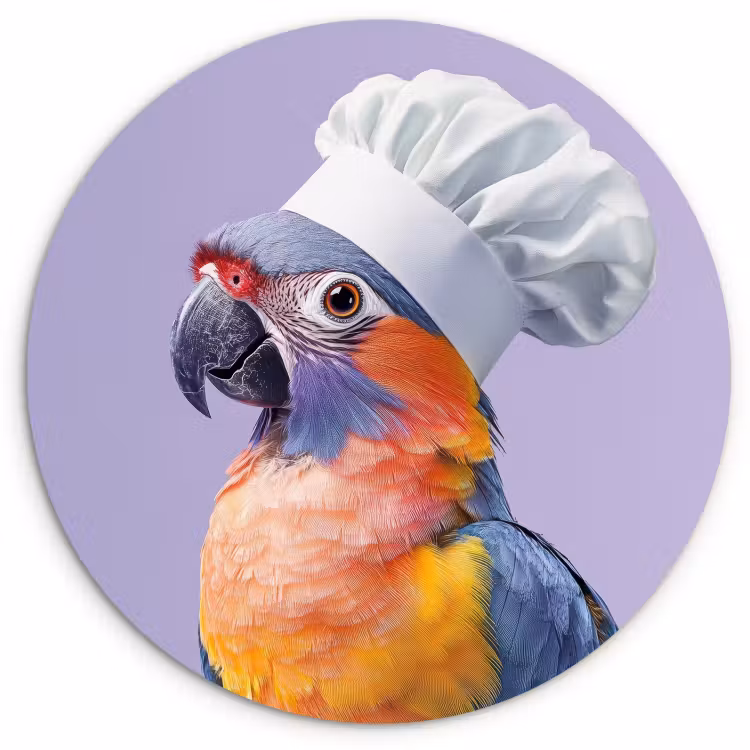 Tableau rond - Perroquet - Chapeau de cuisinier - Violet - Mignon — 1