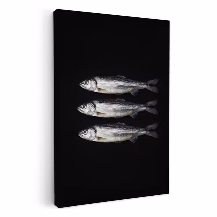 Tableau sur toile - Hareng - Poisson - Noir — 1