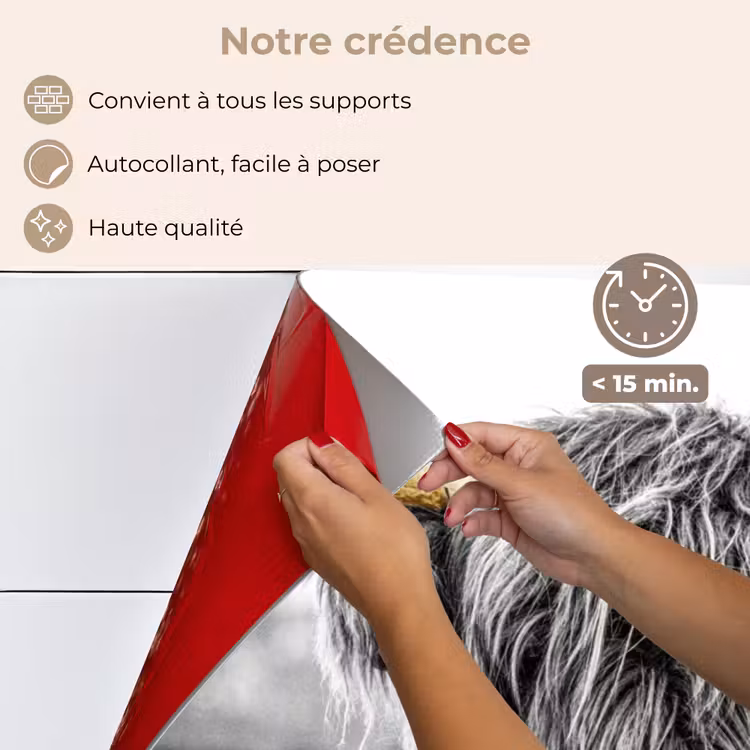 Fond de hotte - Le regard du Highlander — 4