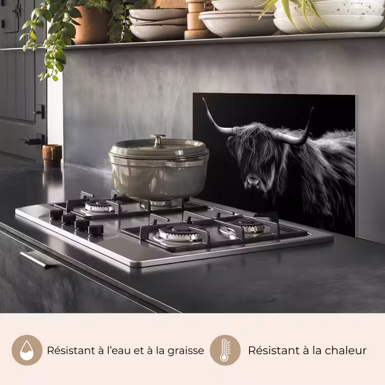 Fond de hotte - Puissance silencieuse — 2