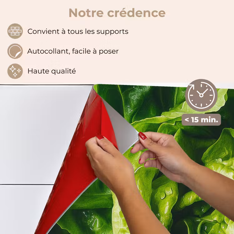 Fond de hotte - Légumes - Laitue - Verte — 4