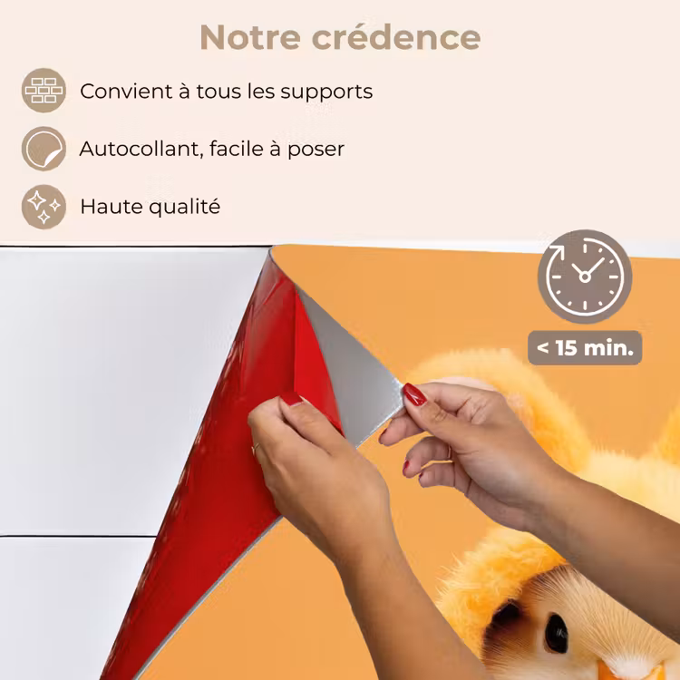 Fond de hotte - Lapin de Pâques - Costume - Canard — 4