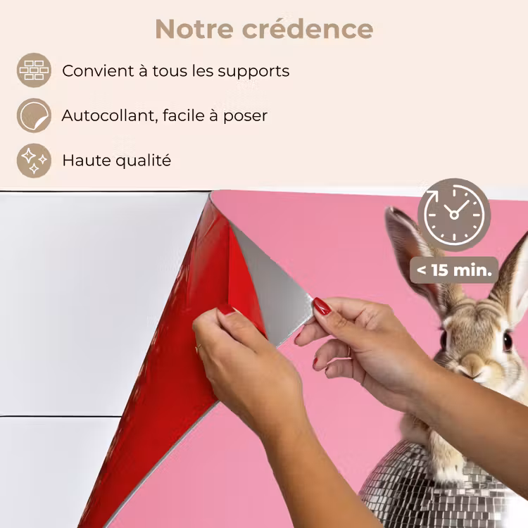 Fond de hotte - Lièvre - Arc - Boule disco — 4