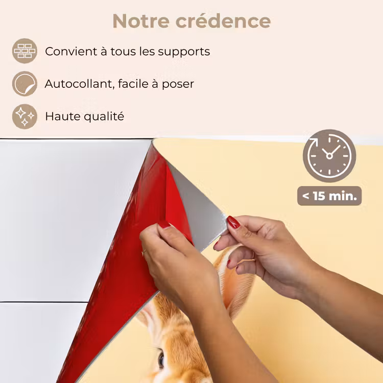 Fond de hotte - Oeufs - Lapin - Teintes pastel — 4