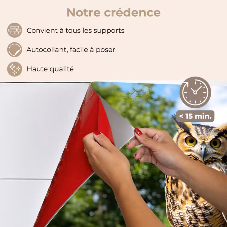 Fond de hotte - Hibou - Tronc d'arbre - Forêt - Ciel — 4