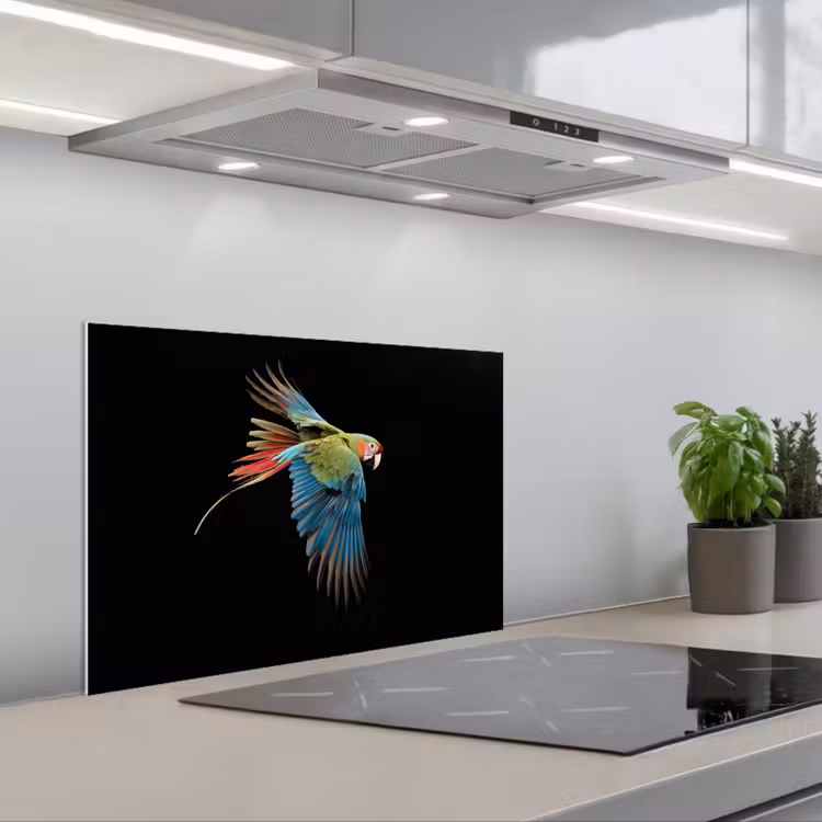 Fond de hotte - Perroquet - coloré - ailes - orné — 1